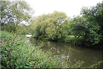 TQ6851 : River Medway by N Chadwick