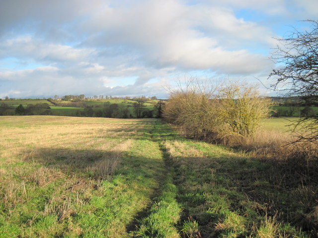 Footpath  to  Dalby