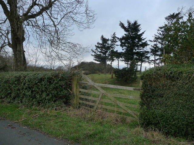 Bishop's Moat motte and bailey © Jeremy Bolwell :: Geograph Britain and ...