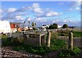 Gardens in The Promenade, Pevensey Bay