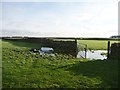 Flooded field gate near Slack Mouth