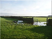 SE1807 : Flooded field gate near Slack Mouth by Christine Johnstone