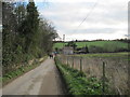 Lane  to  Scackleton  from  Hovingham  Lodge