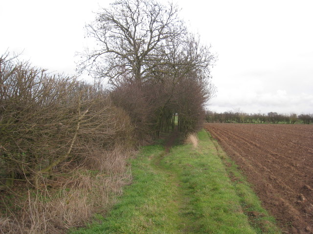 Bridleway through the hedge