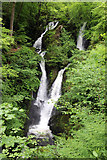 NY3804 : Stockghyll Force, Ambleside, Cumbria by Christine Matthews