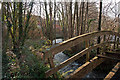 The view downstream from a bridge over Coney Gut near the Homebase store