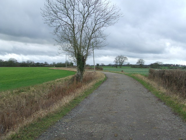 Hawk's Lane