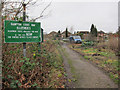 Hampton Court Way allotments