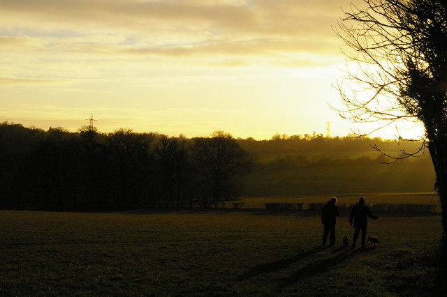Dog-walkers, late afternoon winter light, Farnborough