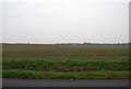 Farmland by Chestfield Rd