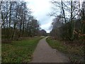 The Trans Pennine Trail near Wombwell