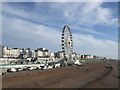 TQ3103 : Brighton Wheel viewed from the pier by Paul Gillett