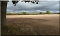 Field beside the A4440 