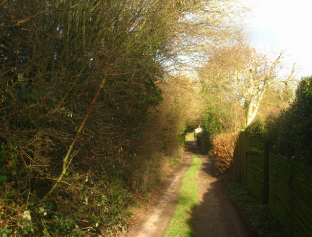 Track to Kitehill Cottages