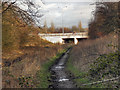 Path Under the Motorway