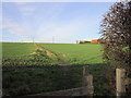 A footpath leading to Lofthouse Gate