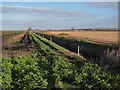 Ditch across Methwold Fens