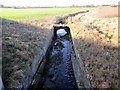 Stream under the Tarvin Bridge