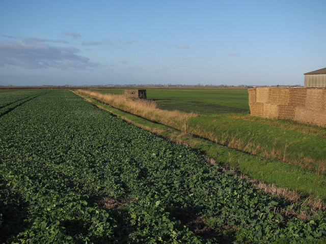 Pillbox by Poppylot Farm