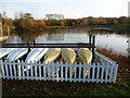 The lake in winter at Swanley Park