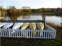 TQ5169 : The lake in winter at Swanley Park by Marathon