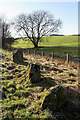 Standing stones by the A701 south of Moffat