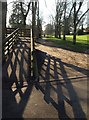 Path by the bridge, Sidmouth