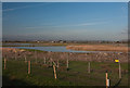 ST3682 : Lagoons at Goldcliff Wetland Reserve by Mick Lobb