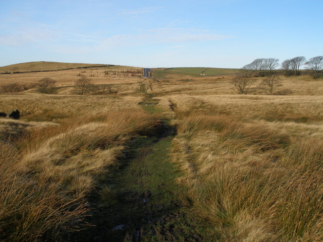 Pennine Bridleway below Bent Hill