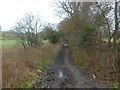 Corfe Mullen, bridleway