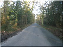 SU7552 : Bagwell Lane by Mr Ignavy