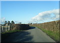 Lane looking towards Llanynys