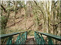 Steep ground on the north side of River Rhymney footbridge, Machen