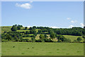 Pasture and hillside south-west of Tregaron, Ceredigion