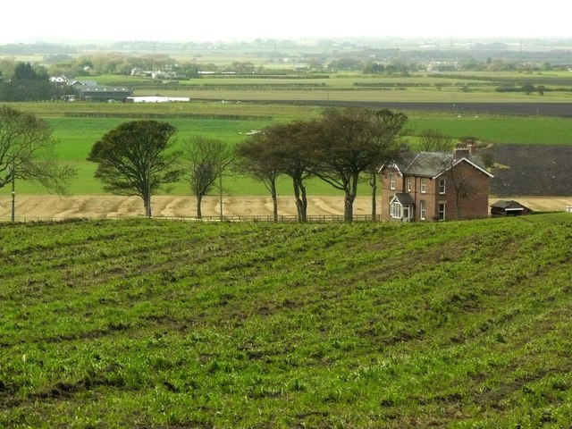 Firs Farm, Clieves Hills