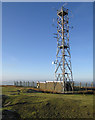 SO5984 : Relay station on Clee Burf by Dave Croker