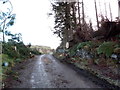 Storm damage near Otter Ferry