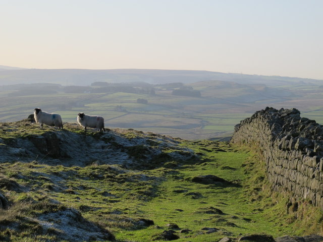 Hadrian's Wall east of Milecastle 41