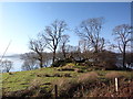 Loch Fyne shore near Barnacarry