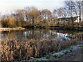 Flood Storage Basin, Timperley