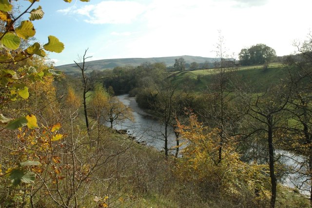 River Wharfe from Grass Wood