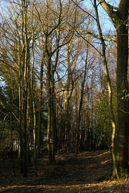 Bridleway east of High Ashes Farm