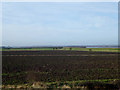 Ploughed Farmland