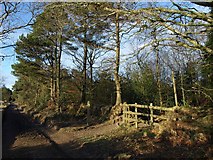 SY1087 : Path and bridleway junction, Mutter's Moor by Derek Harper
