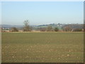 Farmland north of the A659