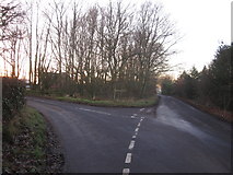 SJ8179 : Paddockhill triangle Mobberley by Peter Turner