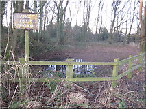 SJ8179 : Paddockhill triangle, Mobberley - the hidden source by Peter Turner