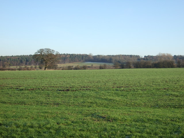 Farmland off the A61
