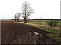 Ploughed field, Littledean