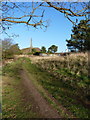 Footpath up to the Sutherland Monument on Lilleshall Hill